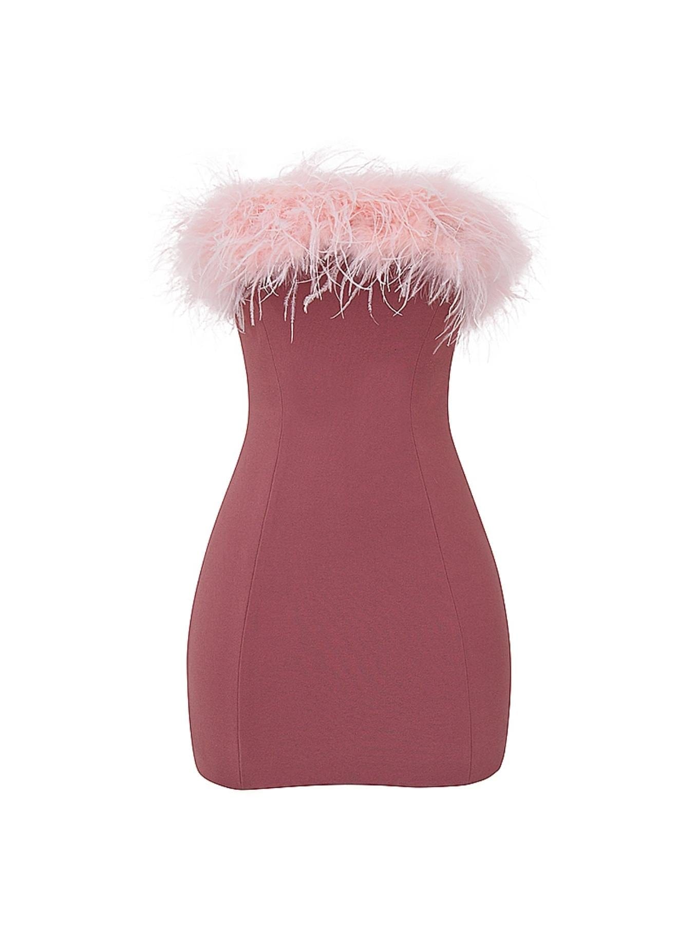 Alexa Warm Pink Mini Dress