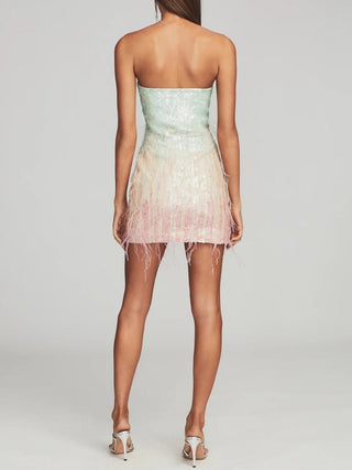 Anastasia Sequin Feather Dress