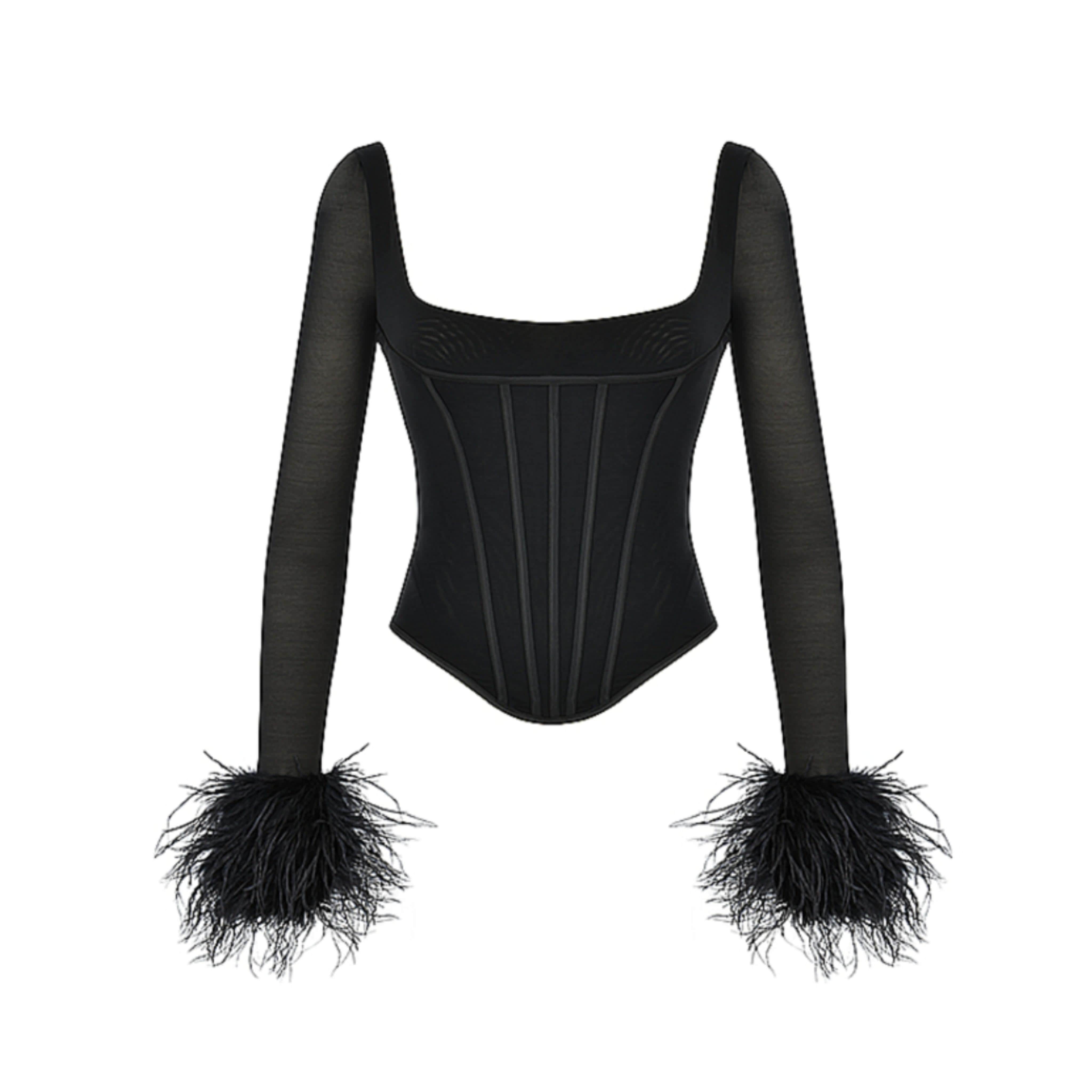 Stella Black Mesh Feather Trimmed Corset – Bipty