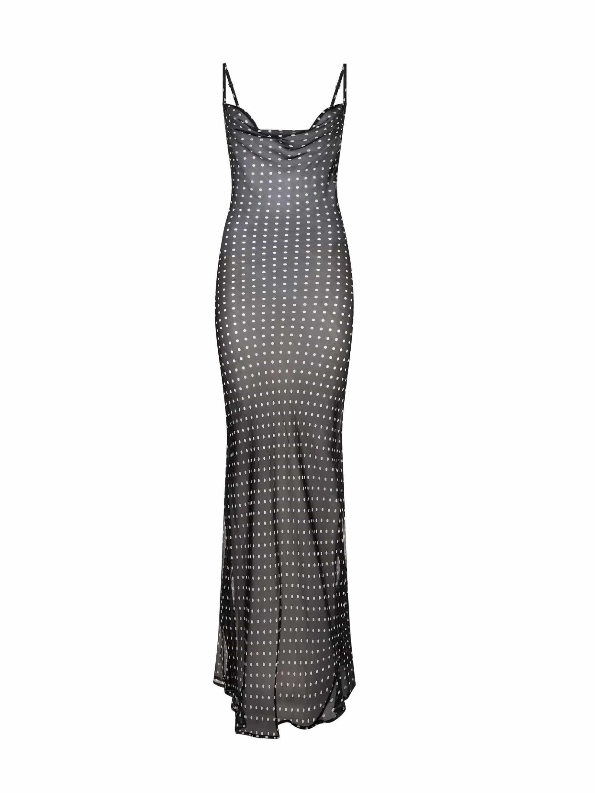 Gisele Sheer Polkadot Maxi Dress – Bipty